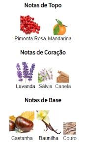 Pirâmide Olfativa (Perfume Inspirado)